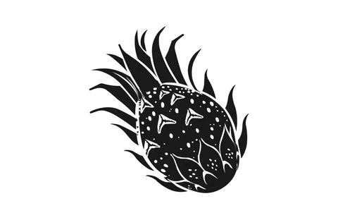 Dragon fruit black icon, isolated on white background. Vector illustration. Stock Illustration