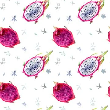 Dragon Fruit Design with Floral Elements is a watercolor illustration with Illustrazione stock