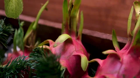 Dragon fruit display Exotic Fruit Market with Dragon Fruit Display in Funchal Stockbeeldmateriaal 313534651