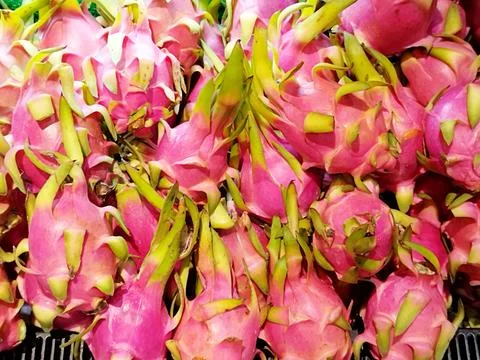 Dragon fruit. Exotic fruit found in tropical areas, especially in Southeast Asia Stock Photos