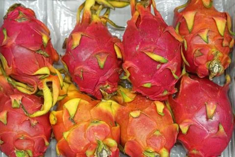 Dragon fruit exotic Stock Photos