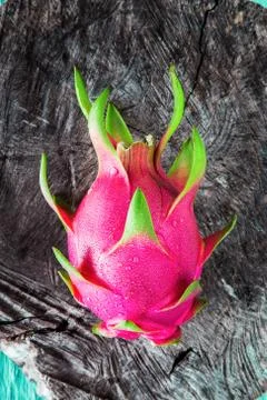 Dragon fruit fresh from the tree Stock Photos