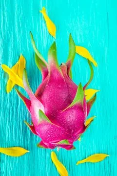 Dragon fruit fresh from the tree Stock Photos