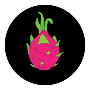 Dragon fruit icon Stock Illustration