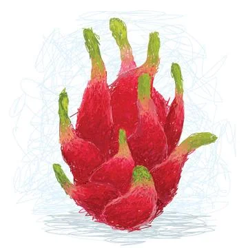 Dragon fruit Stock Illustration