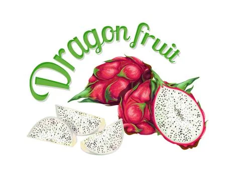 Dragon fruit. Illustrazione stock