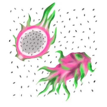 Dragon fruit Illustrazione stock