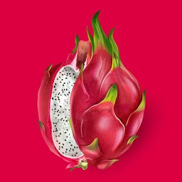 Dragon fruit illustration Stock Illustration