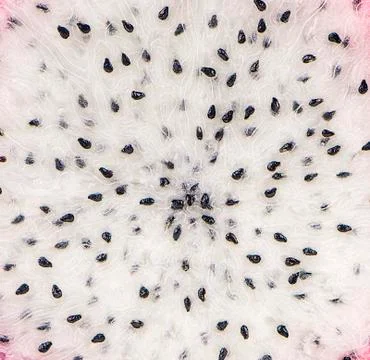 Dragon fruit an isolated on background Stock Photos