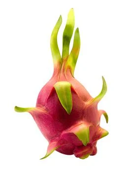 Dragon fruit isolated Stock Photos