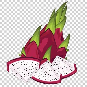 Dragon Fruit Isolated, Vector. Stock Illustration