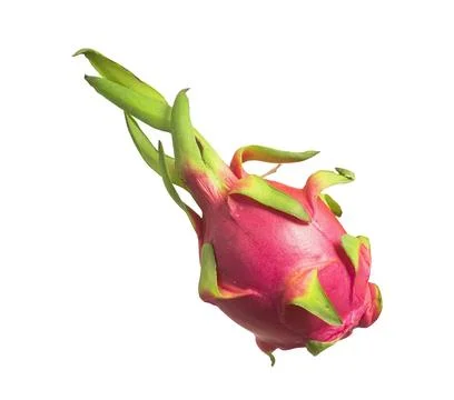 Dragon fruit isolated on white background. Fresh pitaya with pink skin and .. Stock Photos