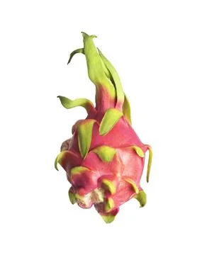 Dragon fruit isolated on white background. Pink pitaya with green scales in Stock Photos