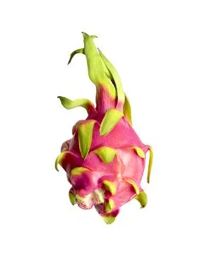 Dragon fruit isolated on white background. Pink pitaya with green scales in Stock Photos