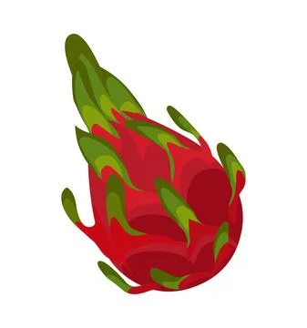 Dragon fruit logo icon vector Stock Illustration