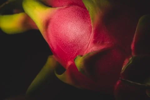 Dragon fruit macro close up Stock Photos