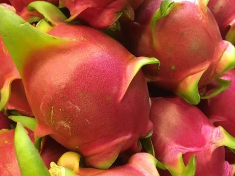 Dragon fruit in the market in Thailand Stock Photos