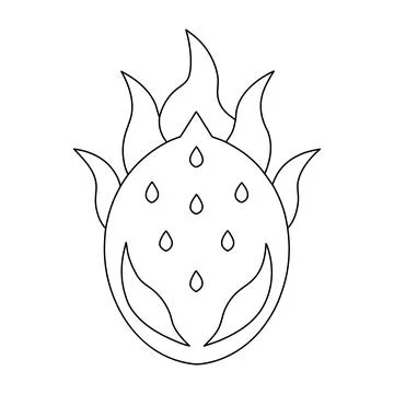 Dragon Fruit Outline Vector Illustration Tropical Pitaya Line Art Coloring .. Stock Illustration