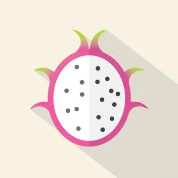 Dragon Fruit Part Flat Design Vector Illustration Stock Illustration