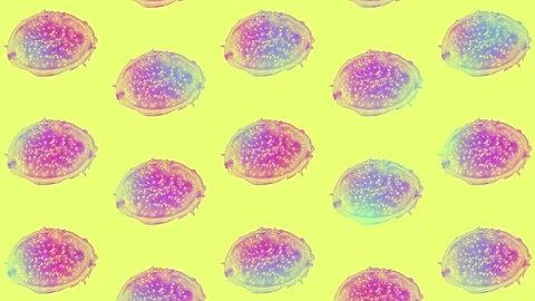 Dragon fruit pattern in vibrant gradient holographic neon colors. Concept art Stock Footage 167487973