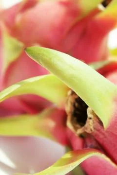 Dragon fruit Stock Photos