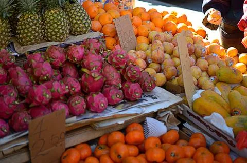 Dragon Fruit Stock Photos