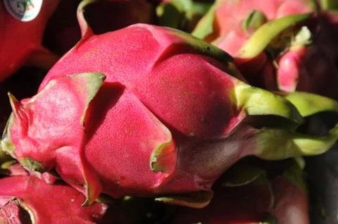 Dragon Fruit Fotos Stock