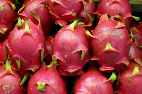 Dragon fruit Stock Photos