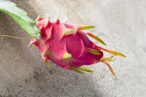 Dragon fruit Stock-Fotos