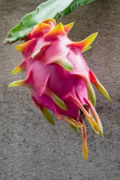 Dragon fruit Fotos de archivo