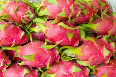 Dragon fruit Stock Photos