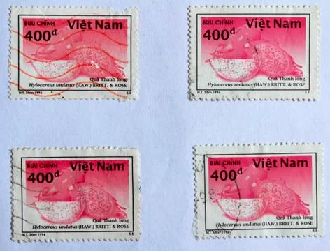 Dragon fruit Stock Photos