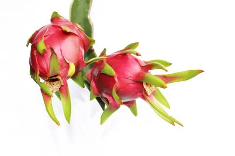 Dragon fruit Stock Photos