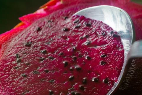 Dragon fruit Stock Photos