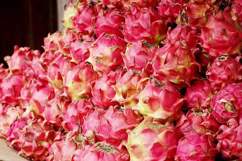 Dragon fruit Stock Photos