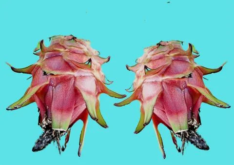 Dragon fruit Stock Photos