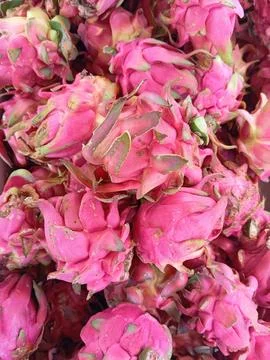 Dragon fruit Stock Photos