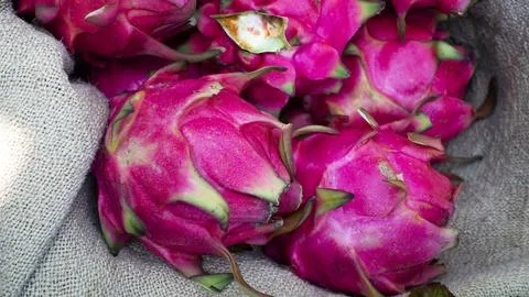 Dragon fruit Stock Photos