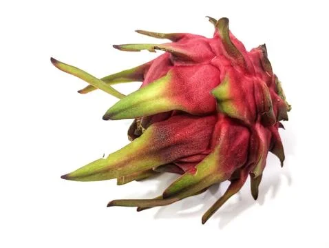 Dragon fruit Stock-Fotos