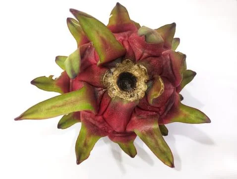 Dragon fruit Stock-Fotos