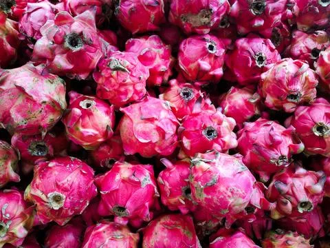 Dragon fruit Foto stock