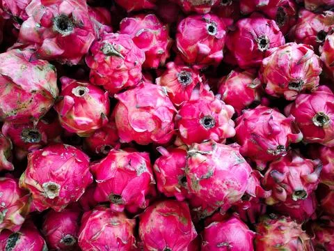 Dragon fruit Stock Photos