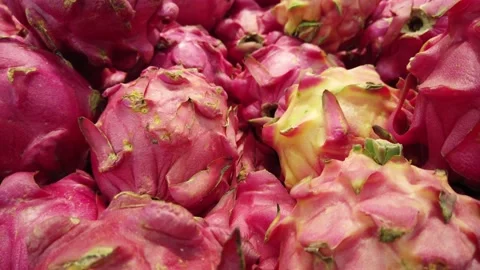 Dragon fruit piled on a table Stockbeeldmateriaal 202140325