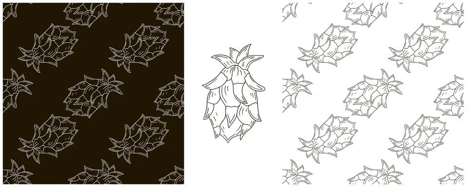 Dragon fruit, pitaya. Seamless pattern with tropical fruits. Set in hand draw Stock Illustration
