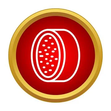 Dragon fruit pitaya slice icon on red button Stock Illustration