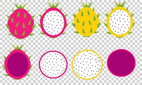 Dragon fruit set 스톡 일러스트