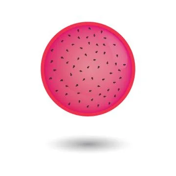 Dragon Fruit Slice Stock Illustration
