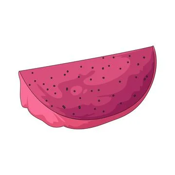 Dragon fruit slice illustration Stock Illustration