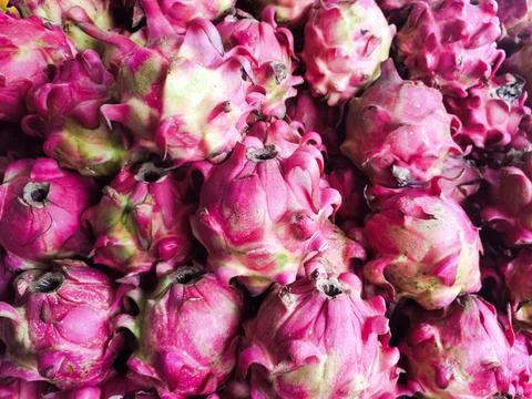 Dragon Fruit Stored in Container Stock Photos