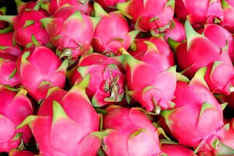 Dragon fruit texture background / fresh dragon fruit for sale in the market t Foto stock